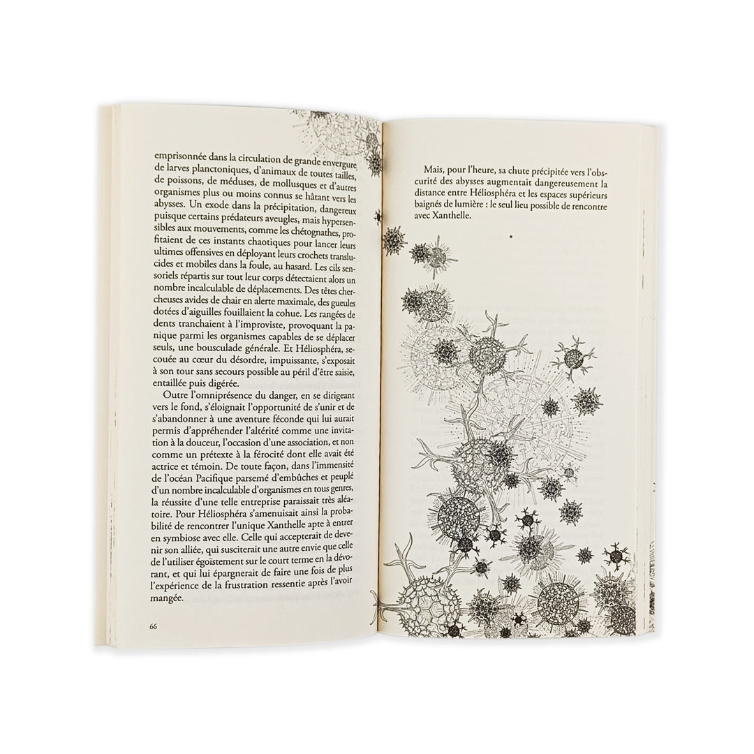 Livre : Heliosphéra, fille des abysses - Wilfried N’Sondé