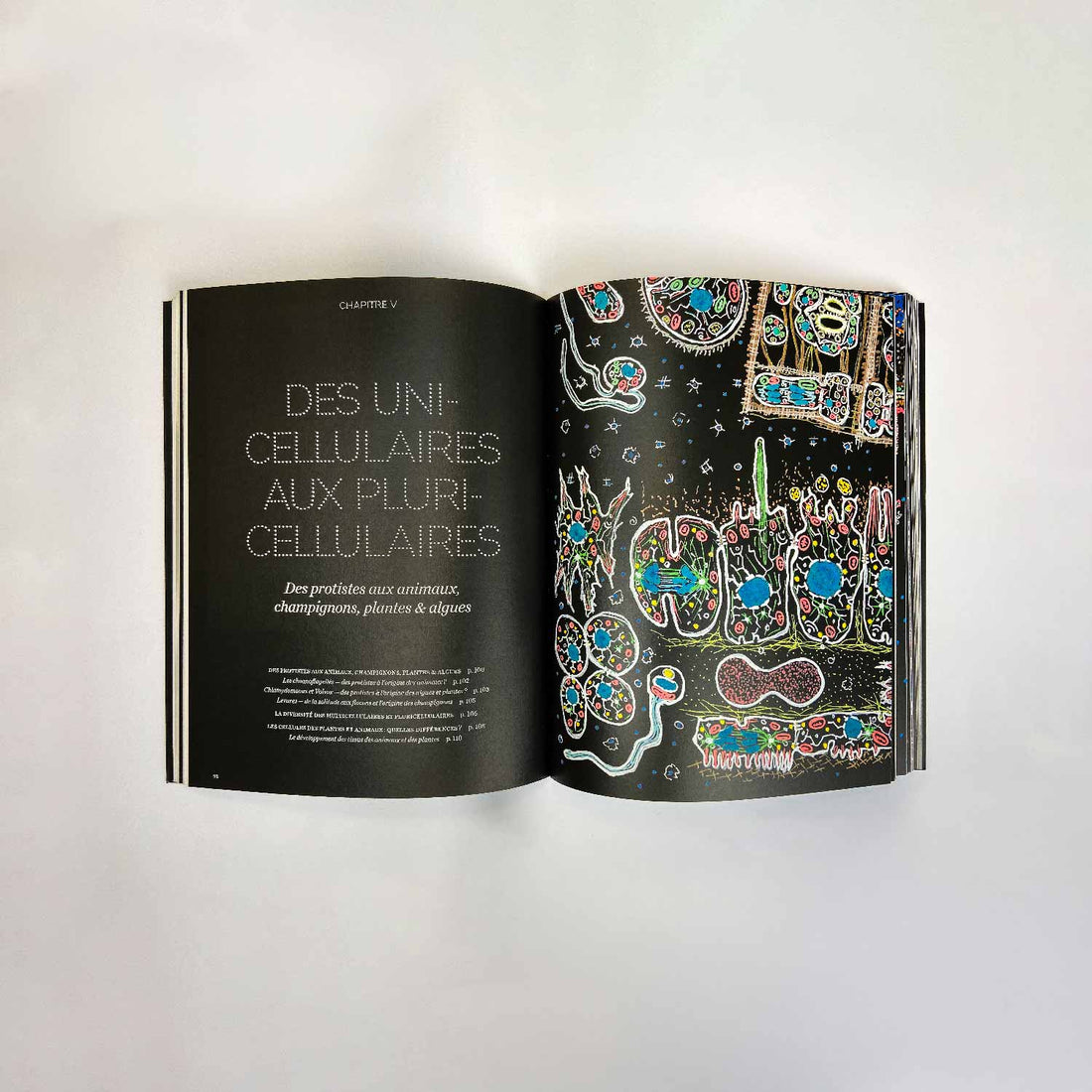 Livre « Les Cellules » de Christian Sardet