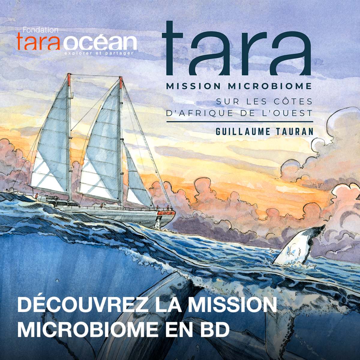 Tara, à la découverte du microbiome marin